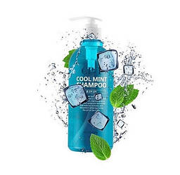 Освіжаючий шампунь для волосся з м'ятою Esthetic House CP-1 Head Spa Cool Mint shampoo