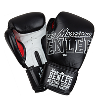 Боксерські рукавиці BENLEE ROCKLAND (blk/white)