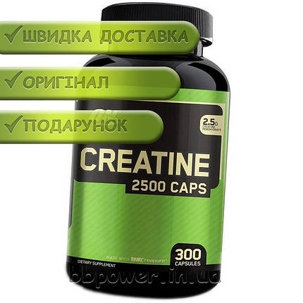 Креатин Optimum Creatine 2500 300 капс, фото 2