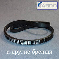 Ремень с мелким оребрением Optibelt - RB EPH 1023 (H7) для стиральная машина Ardo