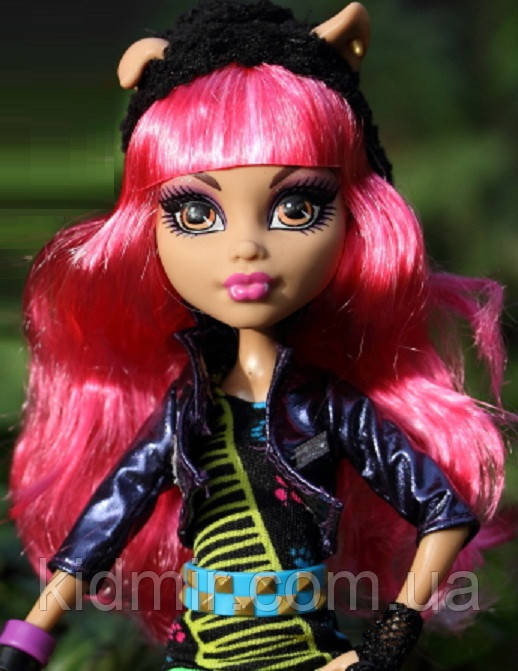 Монстр Хай Хоулін Вульф Лялька Monster High HowleenWolf 13 Wishes Y7710, фото 1