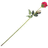 Роза на ножке, 65см (18 шт в уп), фото 2