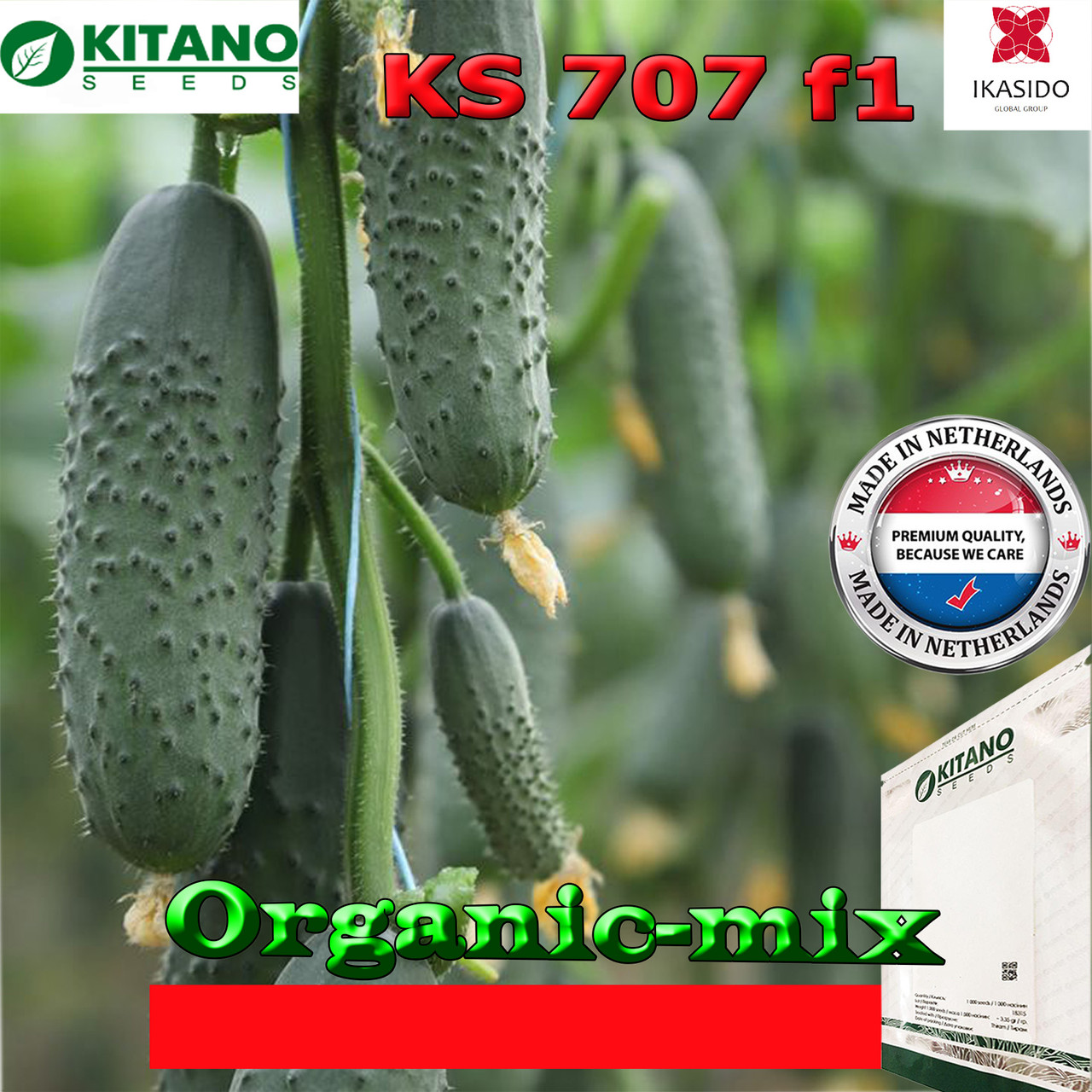 Огірок ультра ранній Домані / Domani (KS 707), суперпучковий, ТМ Kitano Seeds