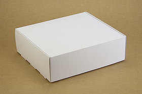 Коробка "Універсальна 2" М0065-о1 біла, розмір: 250*290*90 мм