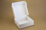 Коробка "Універсальна 2" М0065-о1 біла, розмір: 250*290*90 мм, фото 2