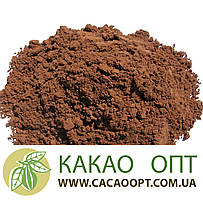 Какао порошок deZaan N21N, 20-22%, натуральний, Нідерланди 1кг