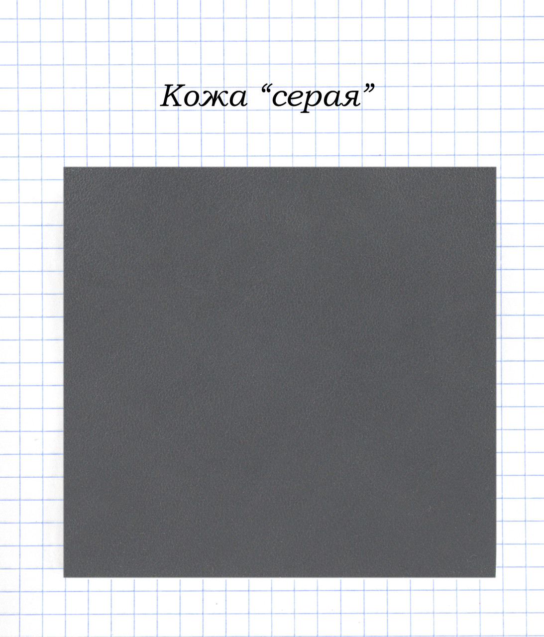 Шкіра "Сіра"
