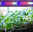Фітолампа для розсади 120см 18Вт Т8 96D (червоно-синій-білий спектр)гарний урожай, фото 2