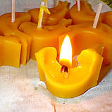 Воскова чайна свічка Пташка в пластиковому прозорому контейнері; натуральний бджолиний віск, фото 3