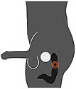 Масажер простати - Rechargeable Prostate Stimulator, фото 10