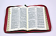 Рос. Біблія малого формату (рожева, сердечко, шкірзам, золото, індекси, блискавка, 14х19), фото 6