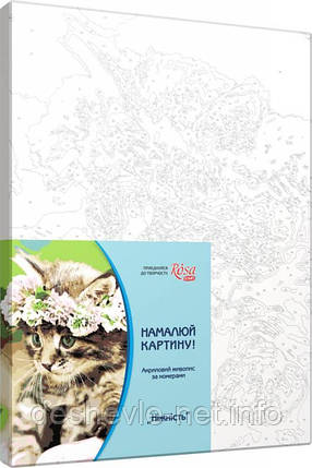 Набір-стандарт акрилова живопис за номерами "Ніжність" ROSA START, фото 2