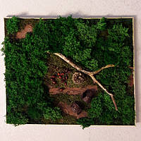 Картина зі стабілізованого моху та природних матеріалів.