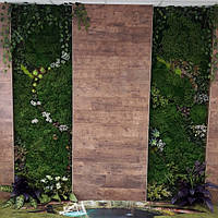 Фітомодулі з моху та штучних рослин