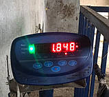 Ваги для тварин без огорожі 1х1.5 метра, фото 4