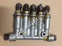 Поживець імпульсний 5 виводів