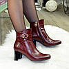 Жіночі бордові туфлі на невисокому каблуці, фото 3