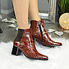 Чоботи жіночі шкіряні на підборах, з тисненням під крокодила", фото 3