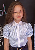 Блузка сорочка для дівчинки в смужку Світ блуз мод. 7002к р.152
