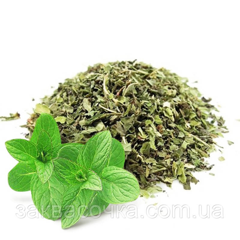 М'ЯТА перцева, сушена, фото 1