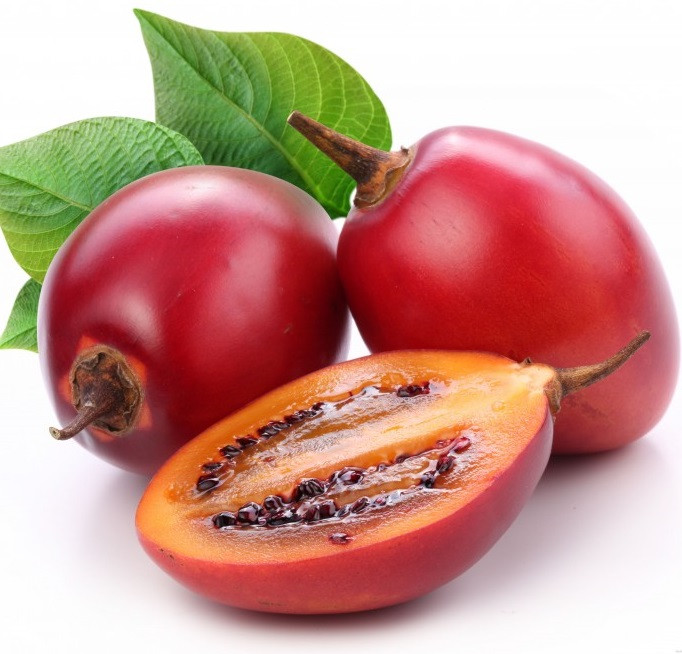 Саджанці тамарило або томатне дерево (Solanum betaceum)