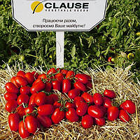 Насіння томату П'єтрароса F1 (1000 сем.) Clause