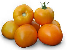 Насіння томату детермінантного АЙСАН (KS 18) F1 (Kitano) 500с