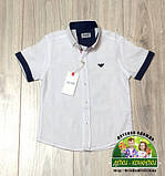 Літній ошатний костюм Armani для хлопчика: біла сорочка та білі штани, фото 4