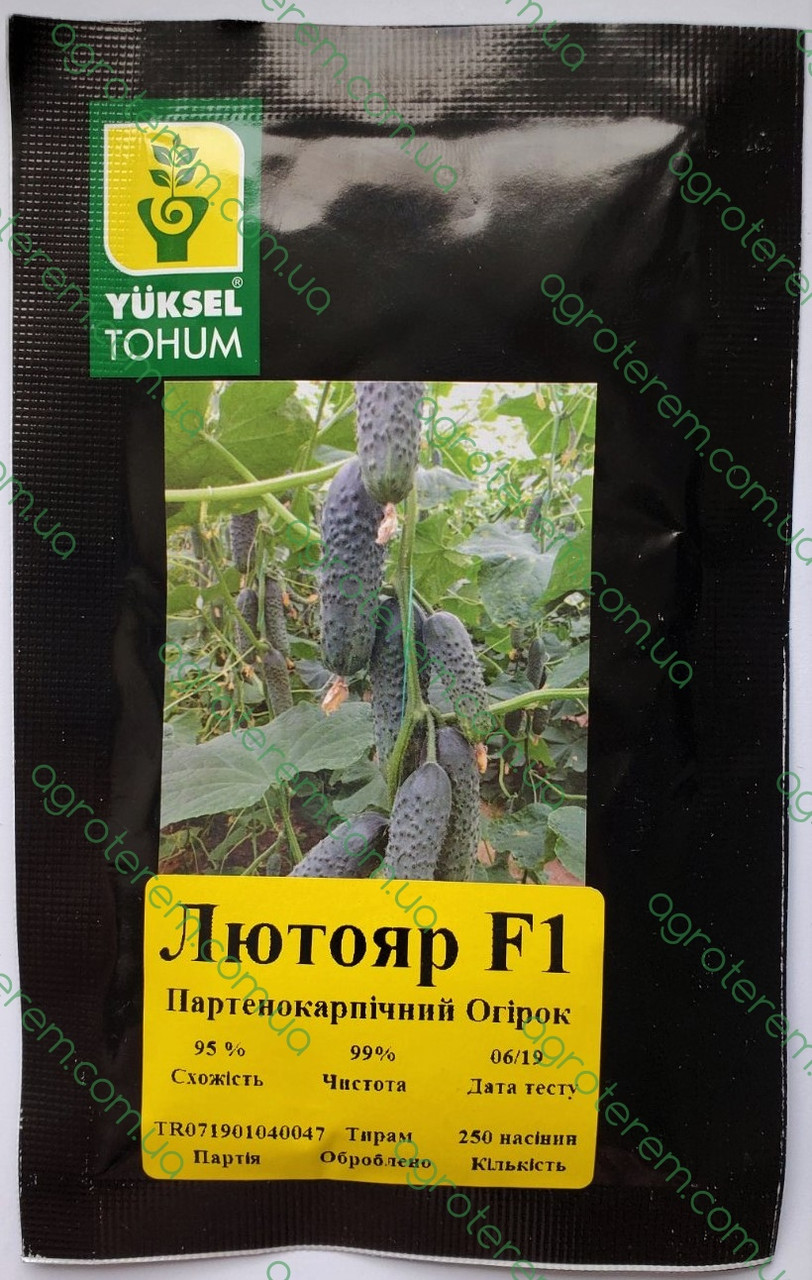 Насіння огірка Лютояр LUTOYAR F1 250 н