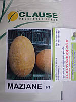 Семена дыни Мазин F1 (Clause), 1 000 семян ультранняя (55-60 дней), овальная, типа Ананас