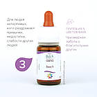 Краплі Баха №3 Beech (Бук, Біч) GUNA. Краплі, 10 мл. При нетерпимості і прискіпливість до інших. Критикують, фото 3