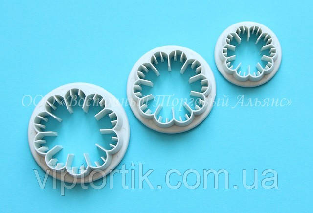 Вирубка — Гвоздика, фото 1