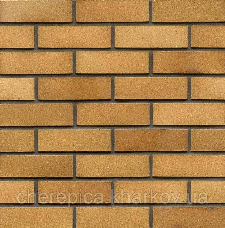 Клінкерна цегла MUHR Нидерлаузитцер 01 EG Жовтий Глянсовий, фото 1