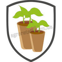 Торф'яні горщики для вирощування розсади