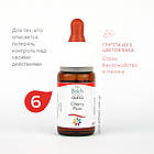 Краплі Баха №6 Cherry Plum (Алича, Вишнеслива). GUNA Краплі, 10 мл. Почуття втрати контролю, істерія, фото 4