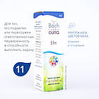 Краплі Баха №11 Elm (В'яз, Ельм). GUNA. Краплі, 10 мл. При перевантаженні, криза втоми, фото 3