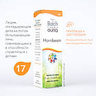 Краплі Баха №17 Hornbeam (Граб, Горнбим). GUNA. Краплі, 10 мл. При розумової втоми, апатії, фото 3