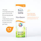Краплі Баха №17 Hornbeam (Граб, Горнбим). GUNA. Краплі, 10 мл. При розумової втоми, апатії, фото 5