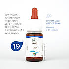 Краплі Баха №19 Larch (Модрина). GUNA. Краплі, 10 мл. При невпевненості, хто думає про себе погано, фото 5
