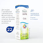 Капли Баха №22 Oak (Дуб, Оак). GUNA. Краплі, 10 мл. Надмірно напружувальним, фото 3