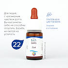 Капли Баха №22 Oak (Дуб, Оак). GUNA. Краплі, 10 мл. Надмірно напружувальним, фото 4