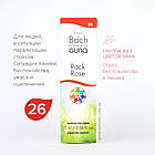 Краплі Баха №26 Rock Rose (Солнцесвет, Рок Троянда). GUNA. Краплі, 10 мл. При жаху, паніки і страху. Кошмари, фото 6