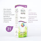 Краплі Баха №31 Vervain (Вербена). GUNA. Краплі, 10 мл. Азартним, надмірно захопленим, фото 3