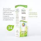 Квіти Баха №34 Water Violet (Водна Фіалка). GUNA (Італія). Краплі, 10 мл. Замкнутим і самотнім, фото 3