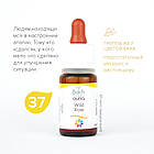 Краплі Баха №37 Wild Rose (Дика Троянда, Шипшина). GUNA. Краплі, 10 мл. При млявості, апатії, покірності, фото 4