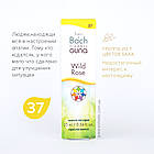 Краплі Баха №37 Wild Rose (Дика Троянда, Шипшина). GUNA. Краплі, 10 мл. При млявості, апатії, покірності, фото 3