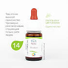 Краплі Баха №14 Heather (Верес, Хізер). GUNA. Краплі, 10 мл. Надмірно балакучий, хто слухає тільки себе, фото 4