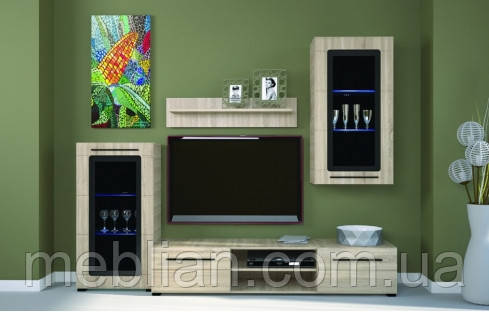 Стінка Кармела ГЕРБОР- холдинг, фото 1