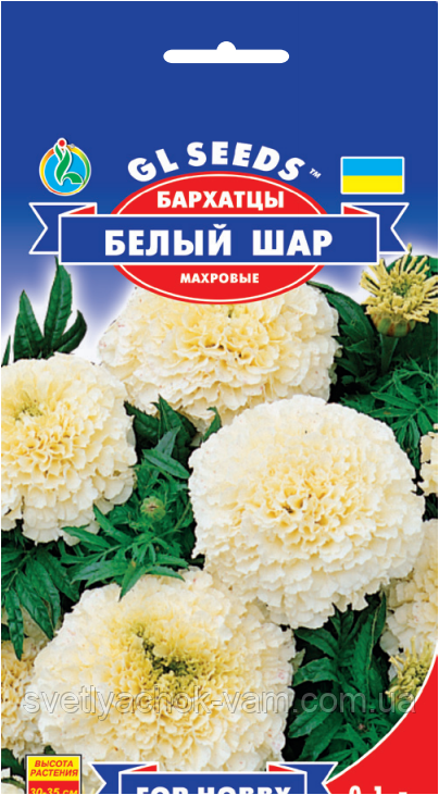 Оксамит Білий Куля махровий компактний сорт із великою кількістю бутонів Незаселений, паковання 0,1 г
