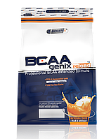 Biogenix BCAAgenix reload 700g